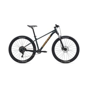 BICICLETA GIANT TALON 2 29