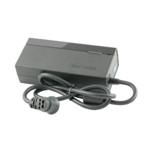 CARGADOR GIANT SMART CHARGER 100-240V